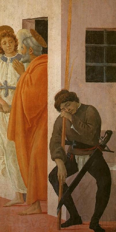 Filippino Lippi St Peter Freed from Prison